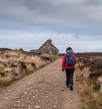 Speyside Way Walk - Craigellachie 