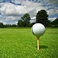 golf ball on a tee