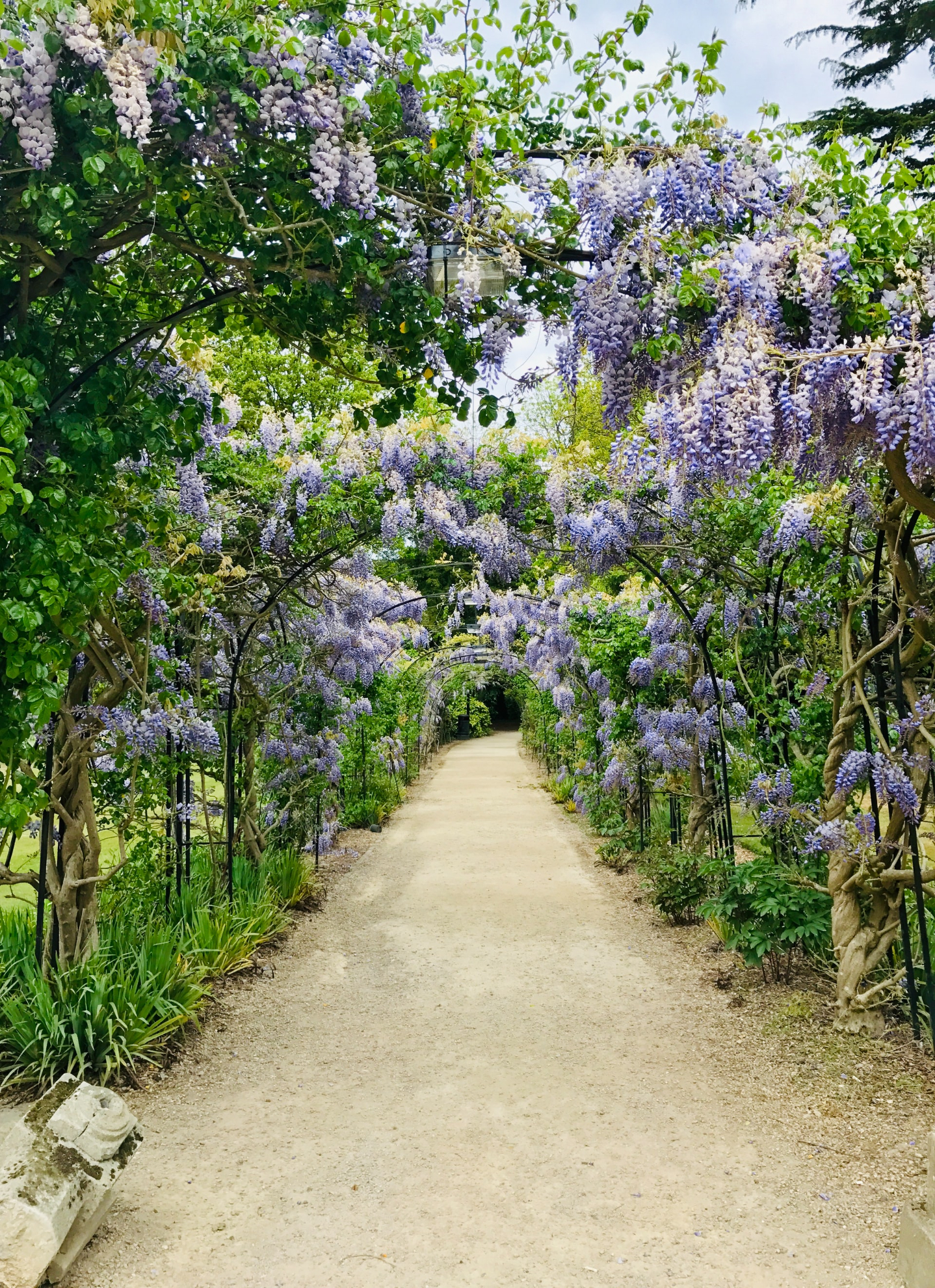 Visiting Speyside: Gordon Castle Walled Gardens