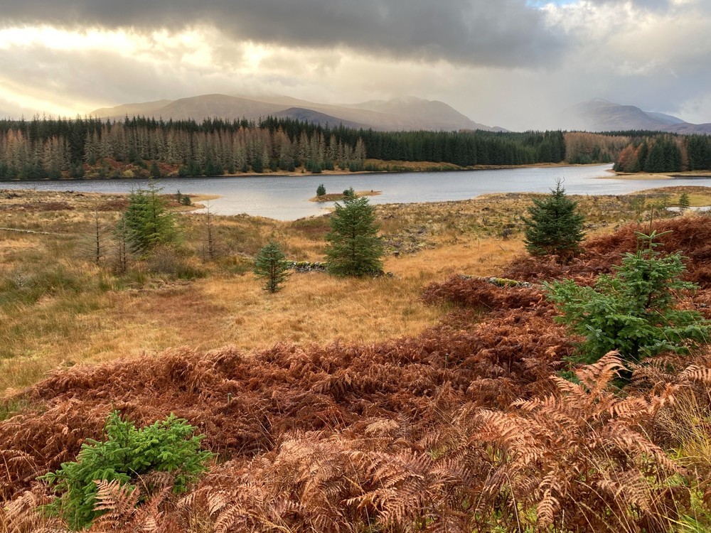 Visiting Stravaig Saunas In Royal Deeside Image
