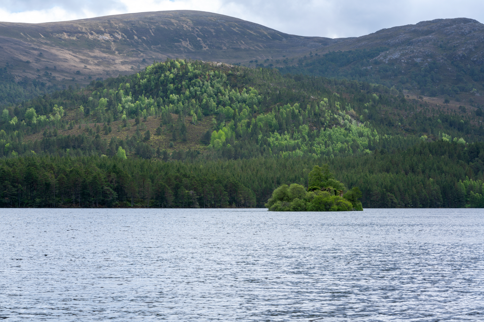 Engage with Nature | Stravaig Saunas In Royal Deeside, Cairngorms