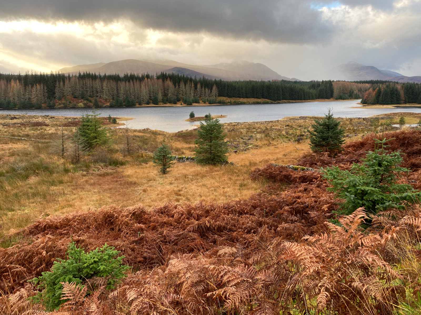 Museum Virtual Tour - The Clan Macpherson Museum