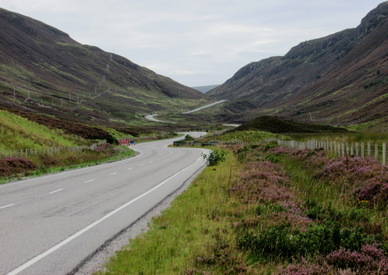 Drive-Through Reserve | Highland Wildlife Park Cairngorms