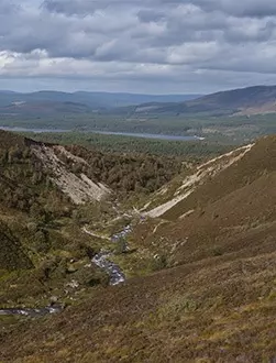 view over the cairngorms